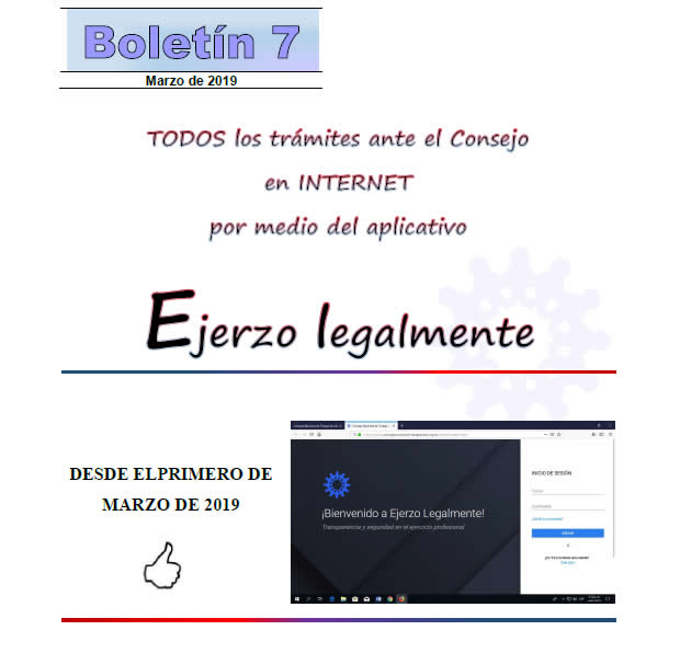 imagen-boletín-digital-número-7